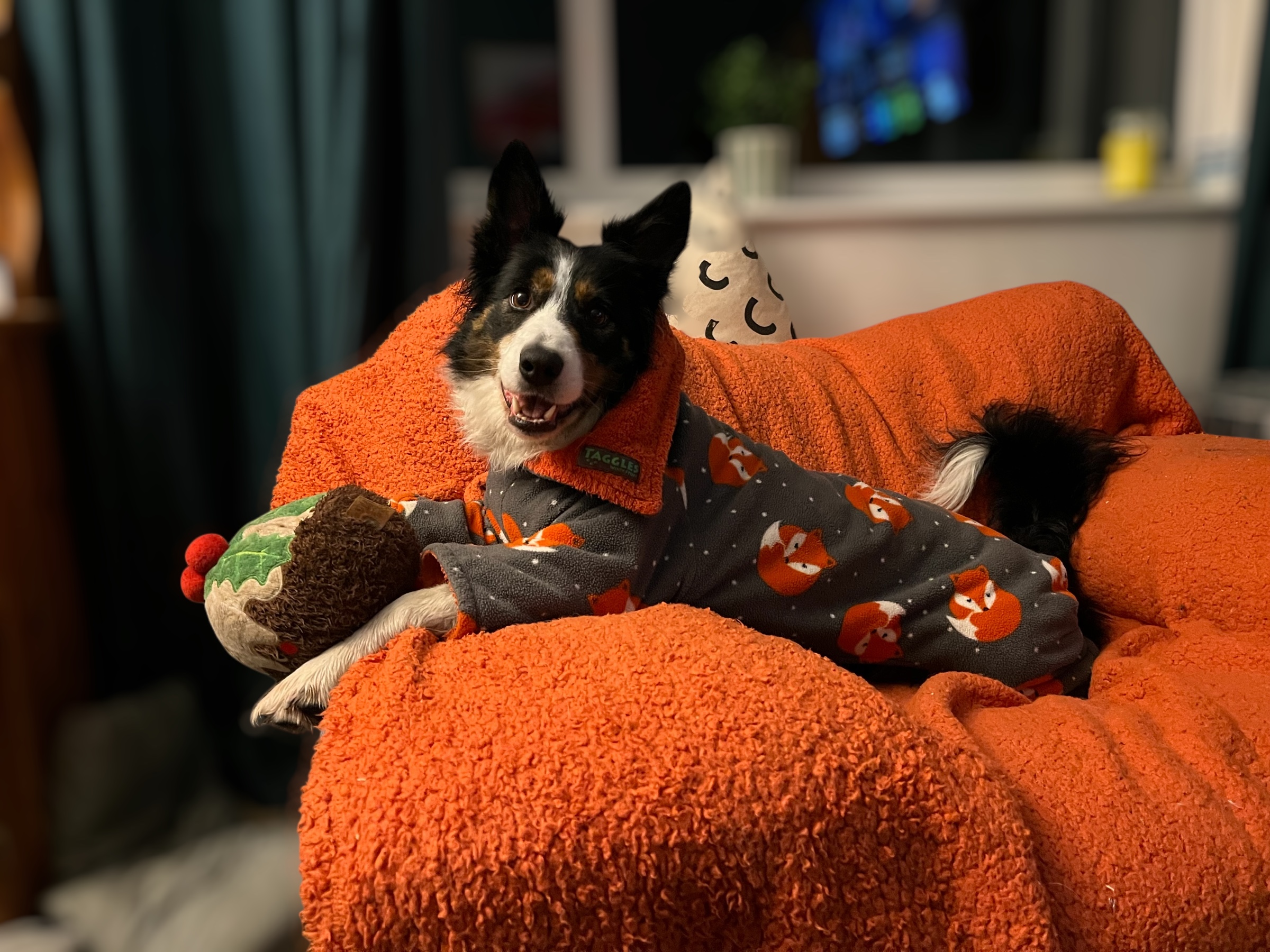 no-border-radius-image margin-bottom-0-lg