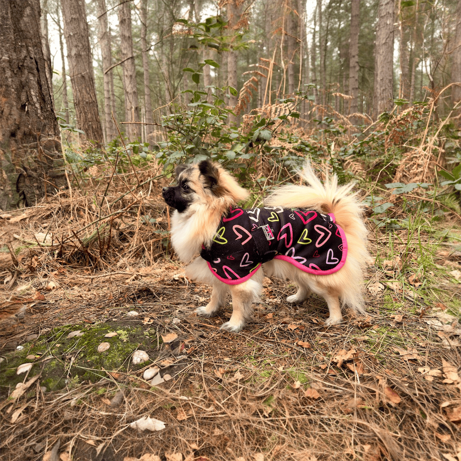 Multicoloured hearts and black - Gilet Comfort - Image 2