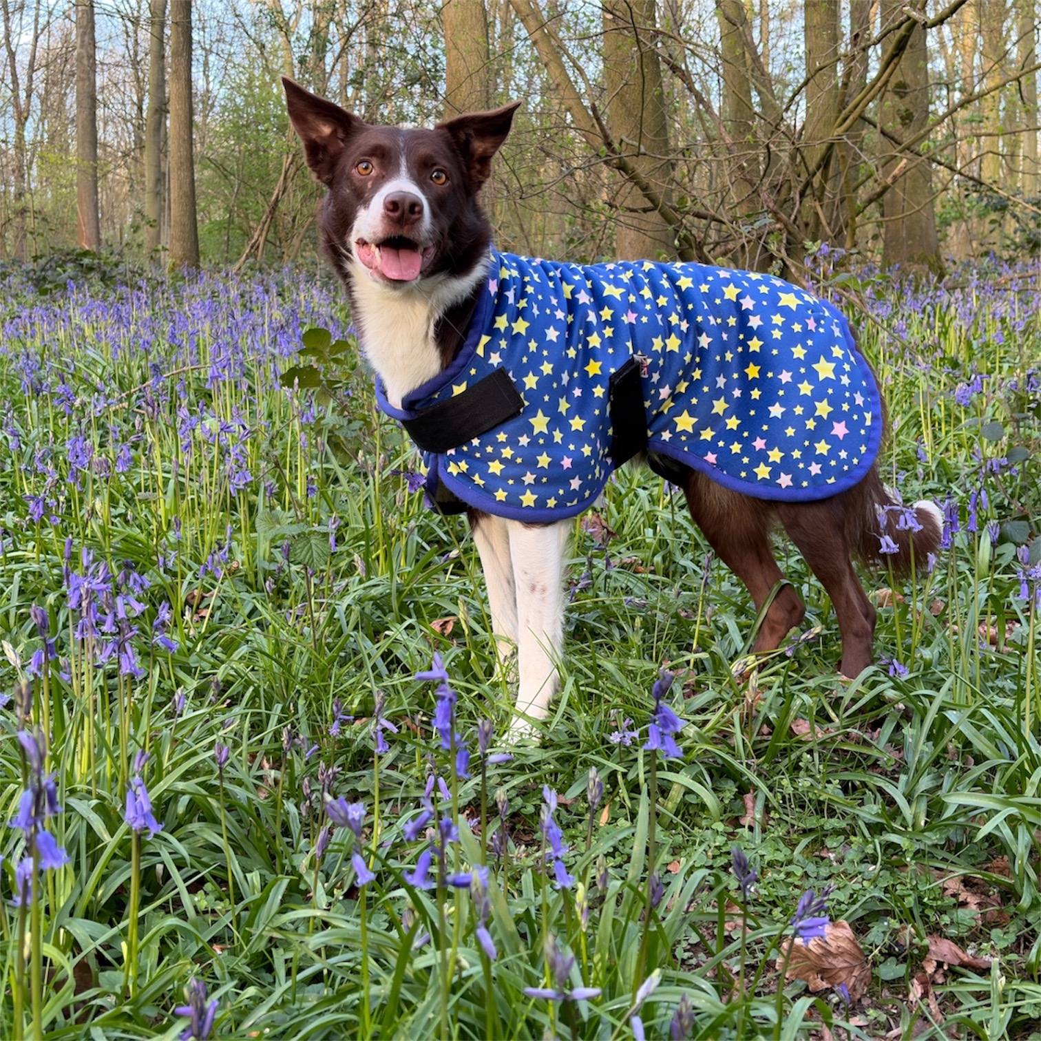 Blue with yellow stars - Gilet Comfort - Image 2