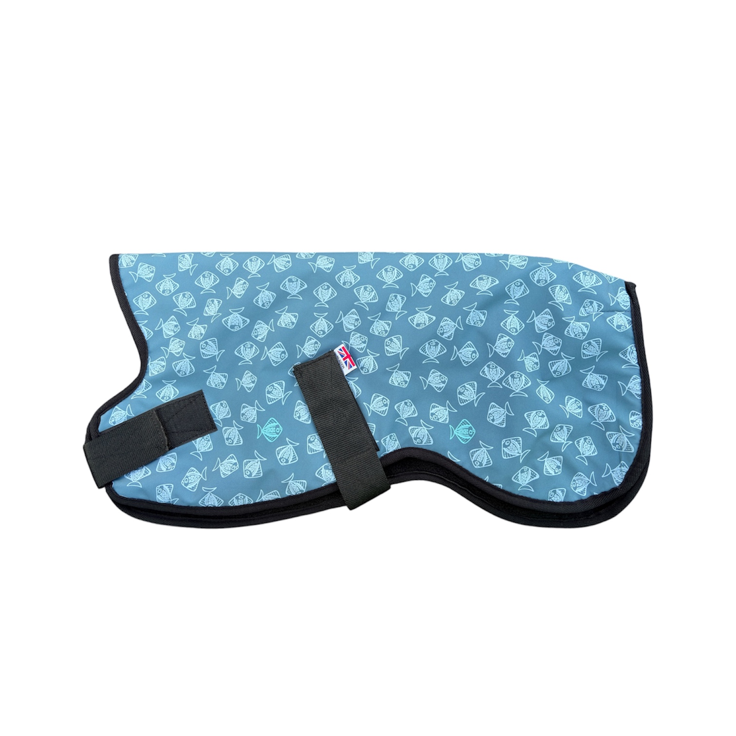 Fish and blue raincoat gilet